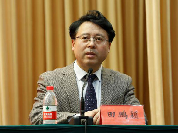 田鹏颖:投入其中、乐在其中、安身其中 田鹏颖:投入其中、乐在其中、安身其中