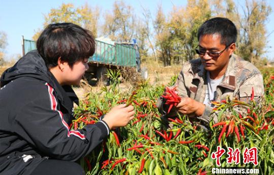 灵活就业前景广阔，需多方合力引导