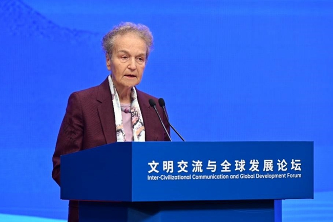 观点综述|文明交流与全球发展论坛在京成功举办 观点综述|文明交流与全球发展论坛在京成功举办