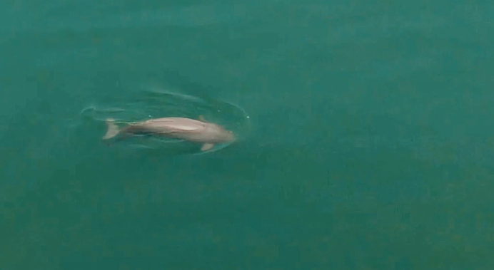 【理响中国·薪火“燃”青春】一江水的颜值回升：从“抉择之勇”到“智能之治”