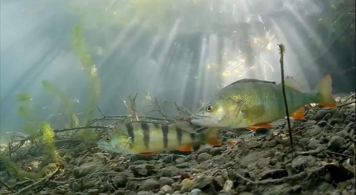 【理响中国·薪火“燃”青春】一滴水的“增值”之旅:从绿水青山到金山银山 【理响中国·薪火“燃”青春】一滴水的“增值”之旅:从绿水青山到金山银山