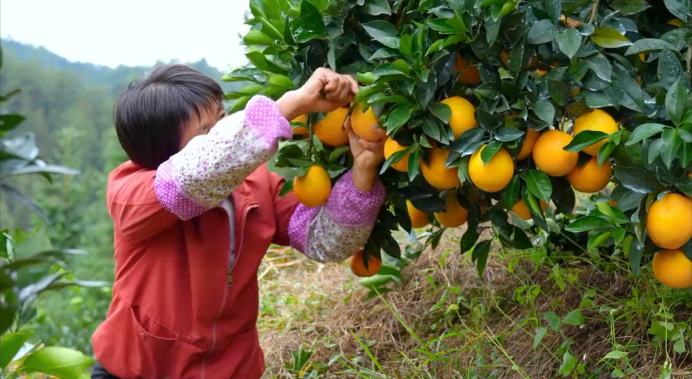 【理响中国·薪火“燃”青春】一滴水的“增值”之旅:从绿水青山到金山银山 【理响中国·薪火“燃”青春】一滴水的“增值”之旅:从绿水青山到金山银山