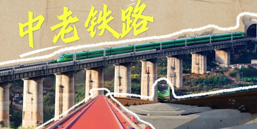 【理响中国·文化旗帜】共建美美与共的文明百花园 【理响中国·文化旗帜】共建美美与共的文明百花园