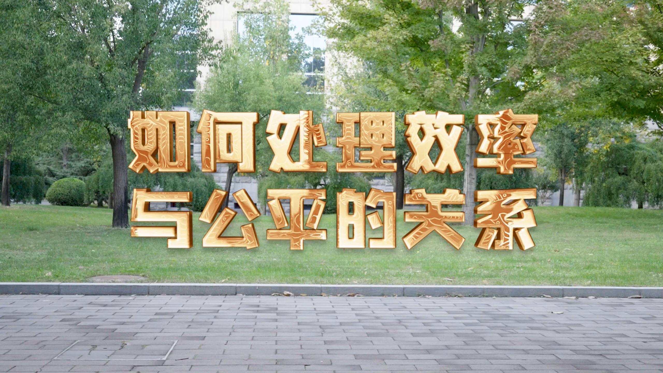 【理响中国·实践新论|党校公开课第九季】如何处理效率与公平的关系 【理响中国·实践新论|党校公开课第九季】如何处理效率与公平的关系