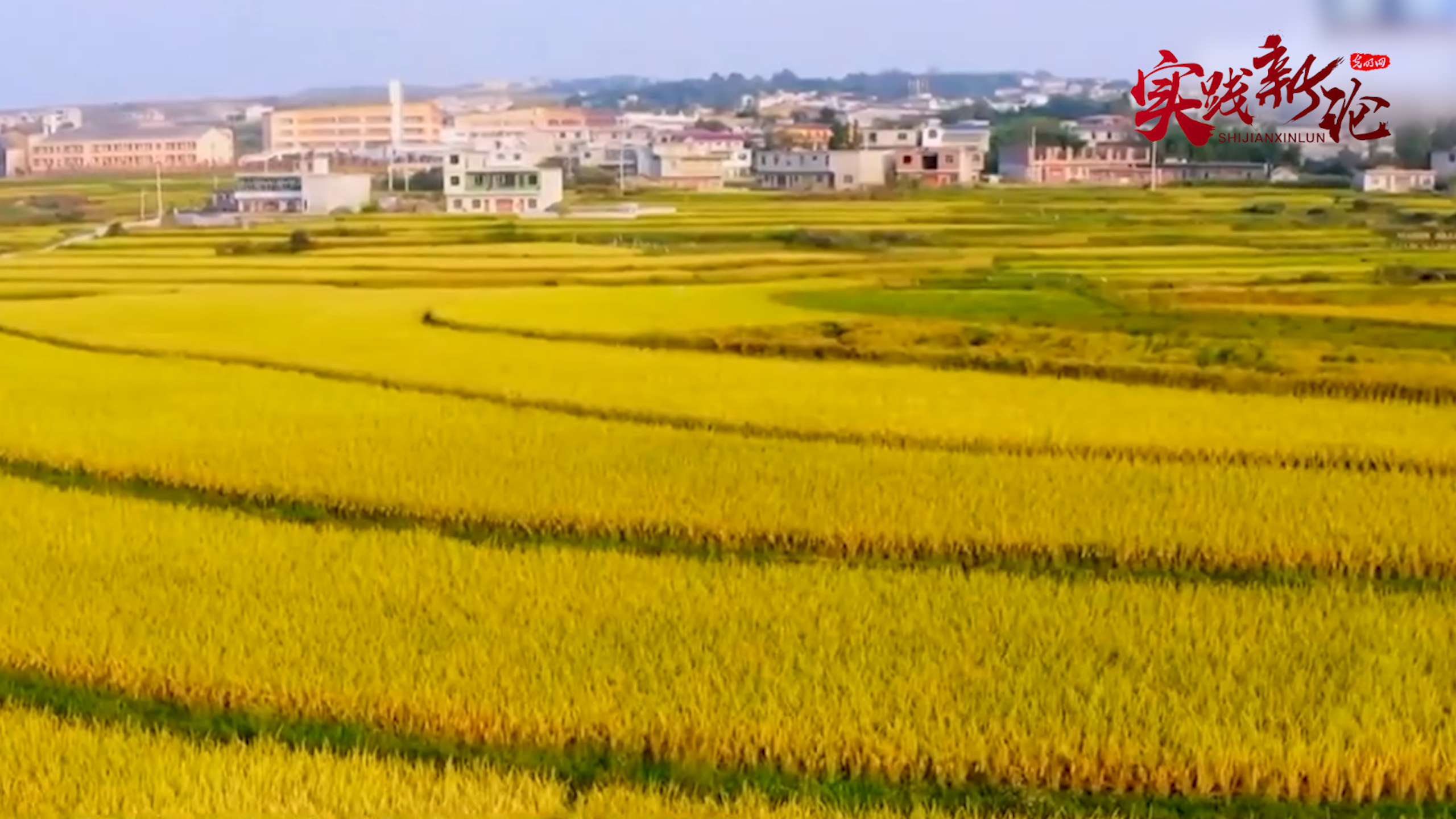 【理响中国·实践新论|党校公开课第九季】如何处理效率与公平的关系 【理响中国·实践新论|党校公开课第九季】如何处理效率与公平的关系